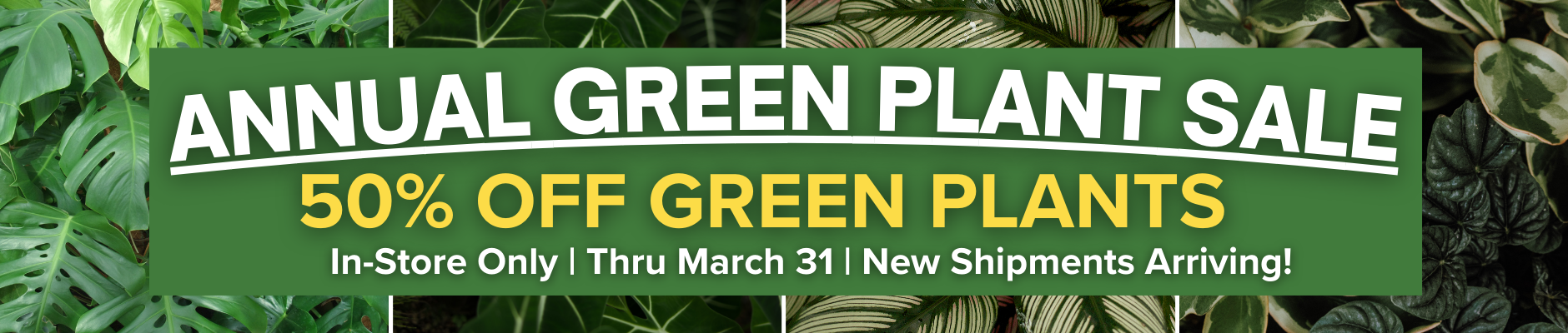 Green Plant Sale 2026