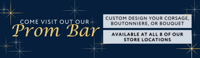 Visit our Prom Bar