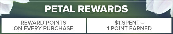 Earn and redeem rewards on all online orders!