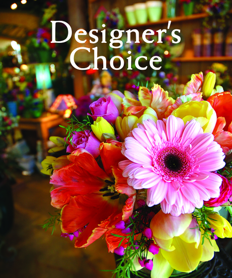 Sympathy Plant Design - Designer's Choice