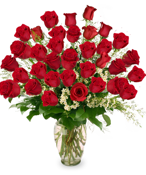 Three Dozen Roses