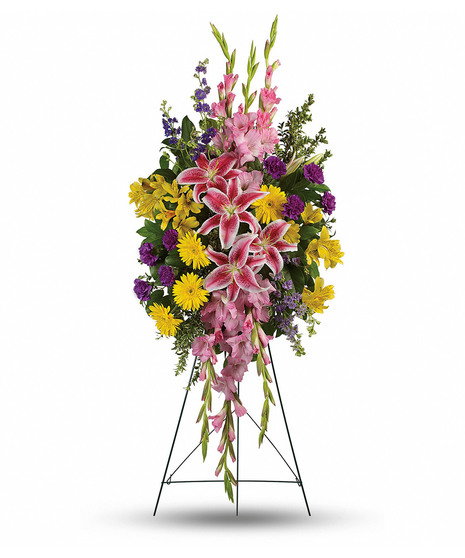 Rainbow Of Remembrance Spray