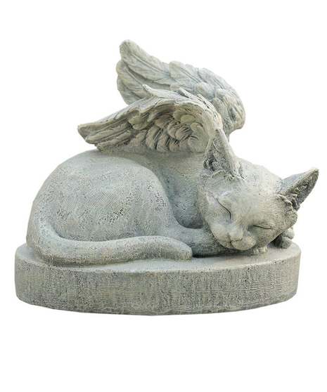 Sympathy Angel Cat
