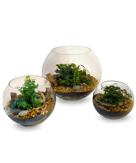 Snow Globe Terrarium