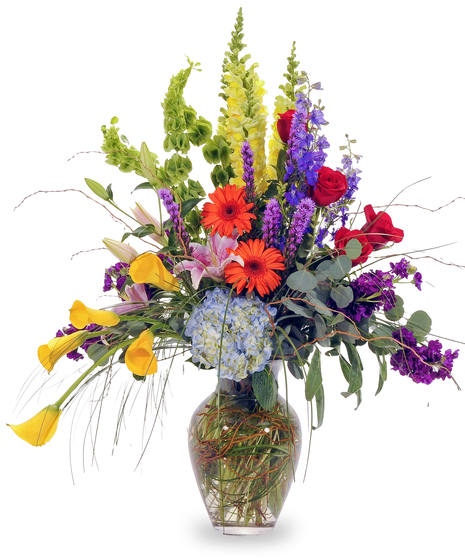 A vase of bright roses, hydrangeas, snapdragons, bells of Ireland, lilies, and gerbera daisies, mixed with greenery. Displayed in a clear vase, against a white background.