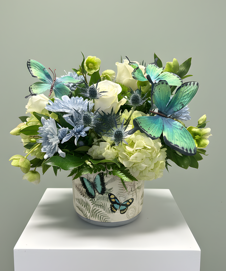 Blue Blue Butterfly