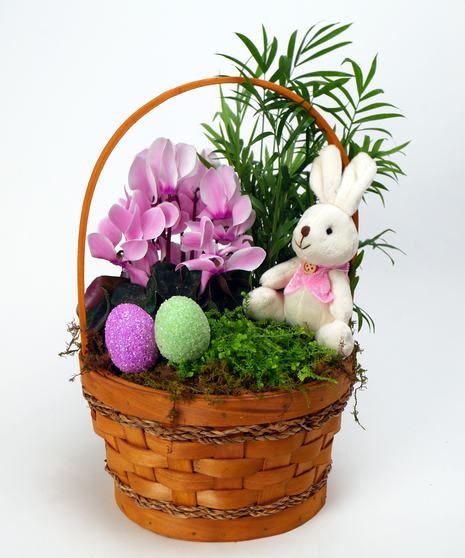 Bunny Basket Garden