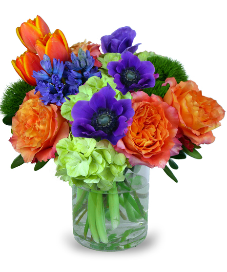 Color of Love