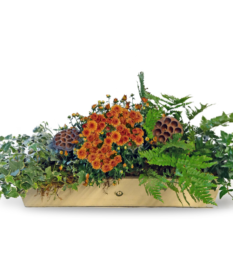 Fall Terrace Garden
