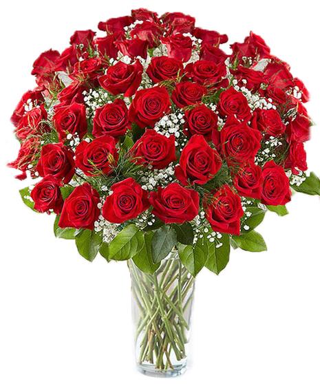 Five Dozen Roses