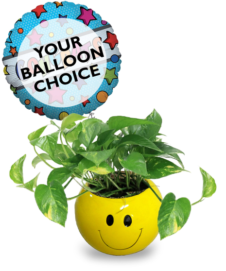 Happy Pothos Plant - With Balloon Included