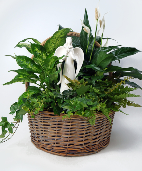 Harmonious Garden - Angel with Lush Green Plants