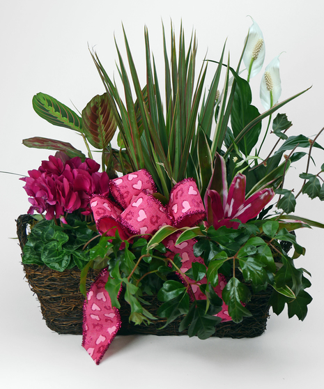 Hearts Grow Wild Garden