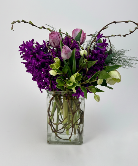 Hyacinth in Vase