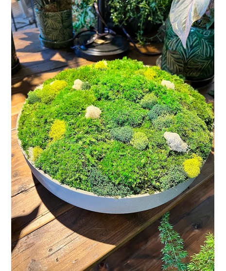 Preserved Moss Art Tablepiece