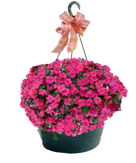 Vibrant purple, pink and green flowers in a keepsake owl vase