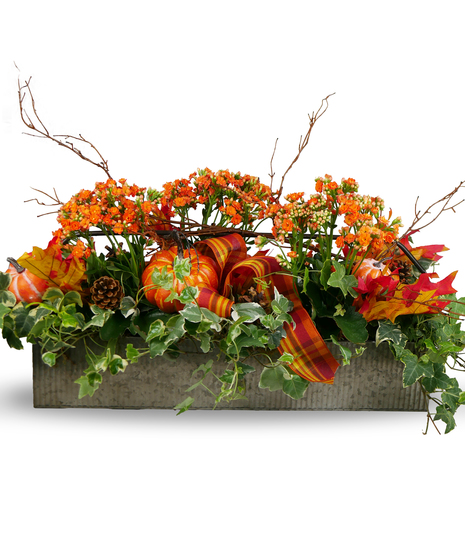 Living Centerpiece