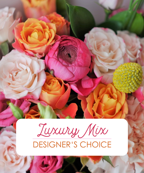Luxury Mix - Designer's Choice