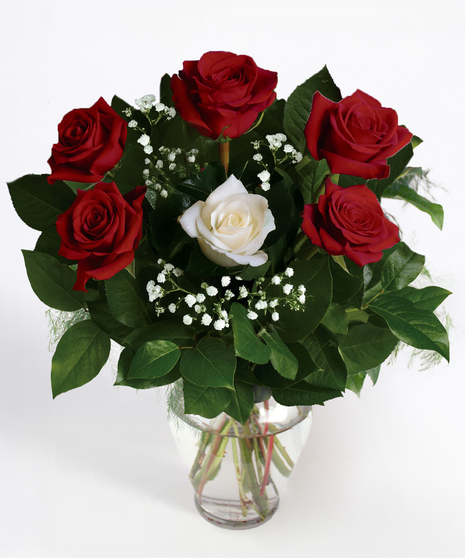 You're My One and Only - Half Dozen Roses