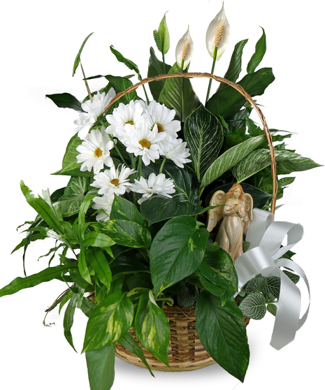 Angel Planter with Fresh Cuts