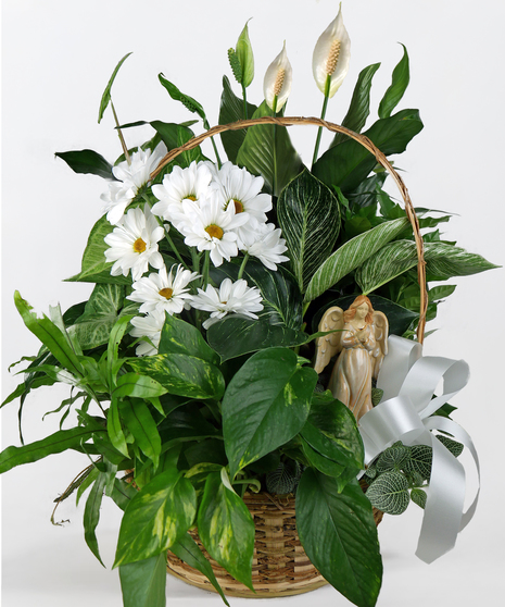 Angel Planter with Fresh Cuts