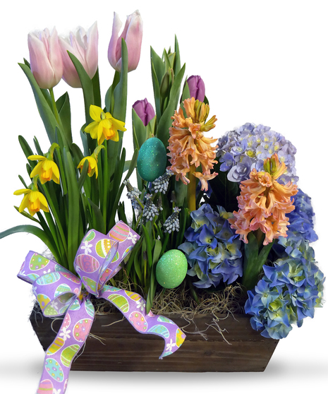 Easter Bulb Garden