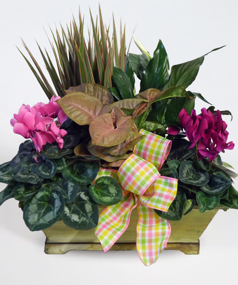Spring Fever Garden