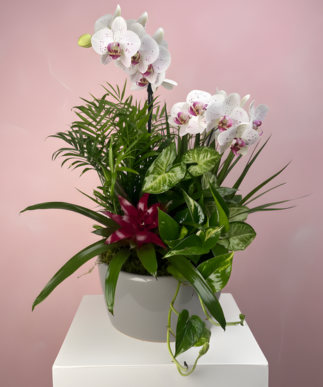 Garden of Maternal Love