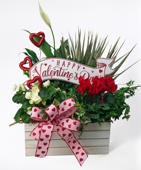 Hearts & Happiness Garden