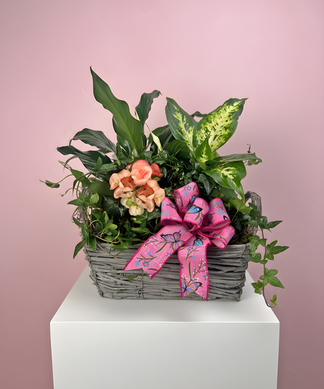 Mixed green plants with pink blooms in a rectangular woven basket, accented with a butterfly ribbon, displayed on a white pedestal against a soft pink background.