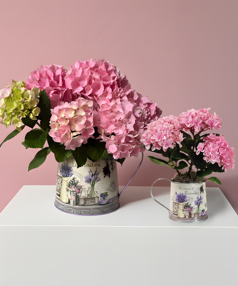 Mommy & Me Hydrangeas - Set of Two