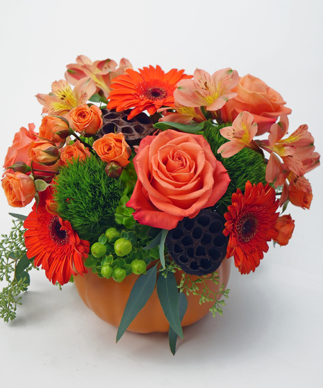 Orange Crush - Available in Two Sizes