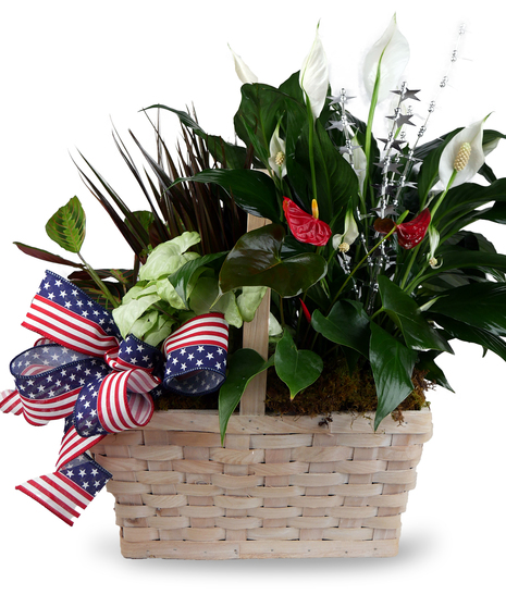 Patriotic Planters