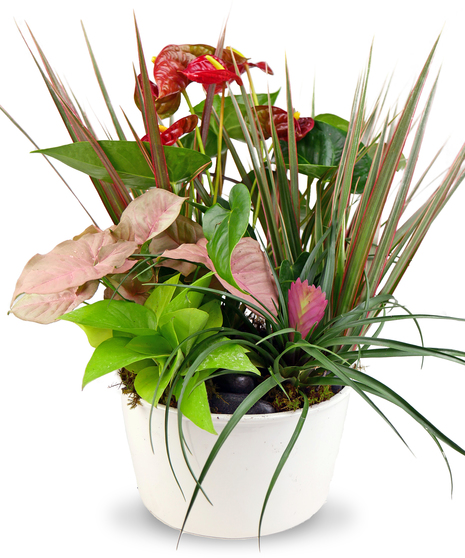 Assorted tropical blooms in a white vessel