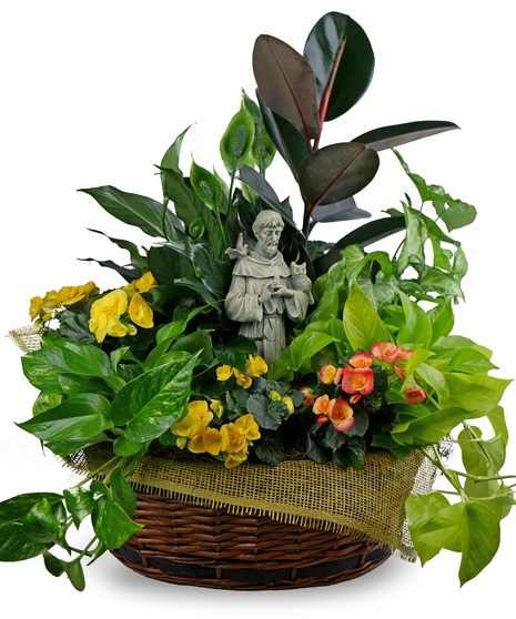 Prayer of St. Francis Garden