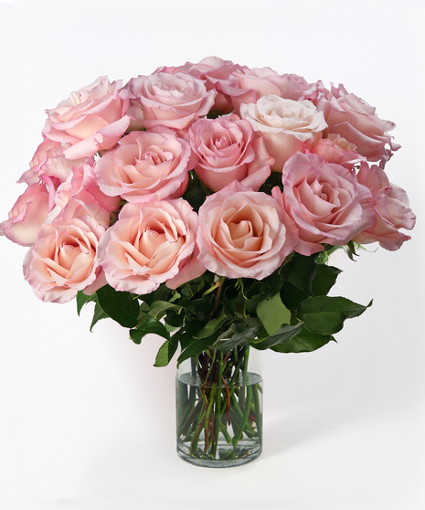 Two Dozen Rose Sale - Color Choices Available!