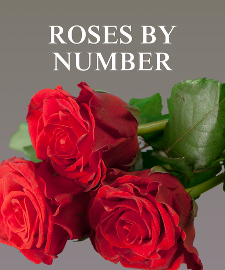 Roses By Number - Designed in a Vase