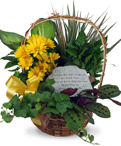 Stepping Stone Planter