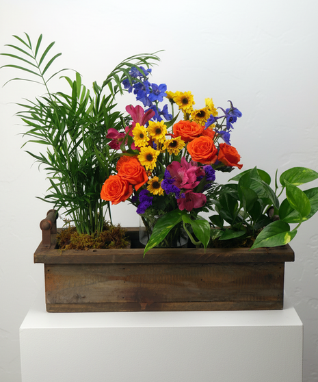 Summer Window Box