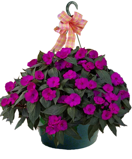 Vibrant purple, pink and green flowers in a keepsake owl vase