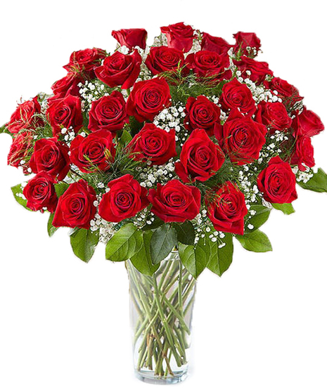 Three dozen long-stemmed red roses and greenery in a clear glass vase