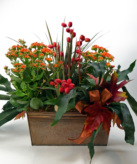 Rich Harvest Garden - Standard Copper Tin