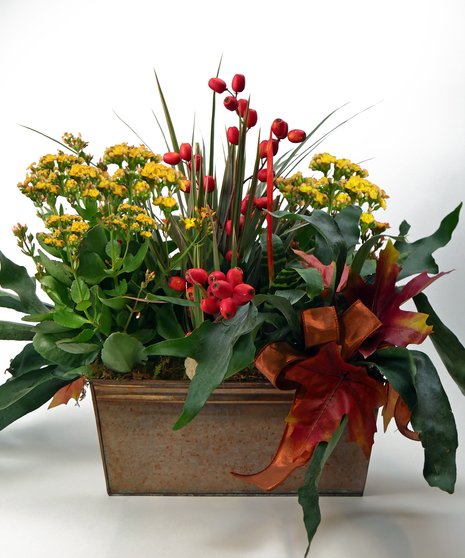 Rich Harvest Garden - Standard Copper Tin
