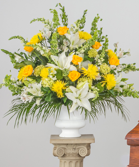 Vibrant Color Head or Foot Display - Color Selection Available