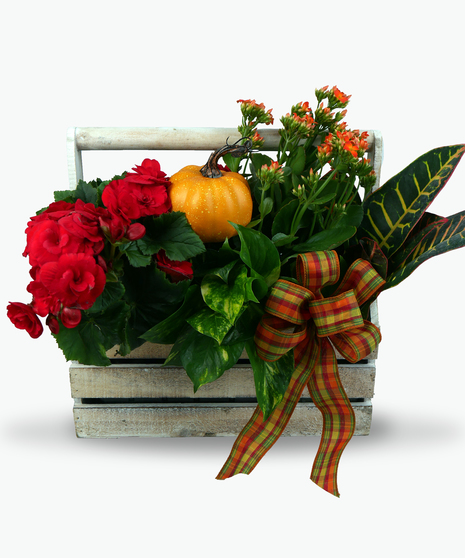 Image depicts a wooden crate filled with a variety of locally-grown bulb plants, including tulips, hyacinths, and hydrangeas. 
