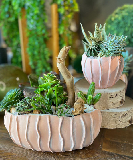 Coral Cactus - Two Sizes Available!
