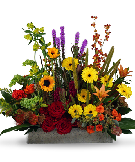 Autumnal Lux Display
