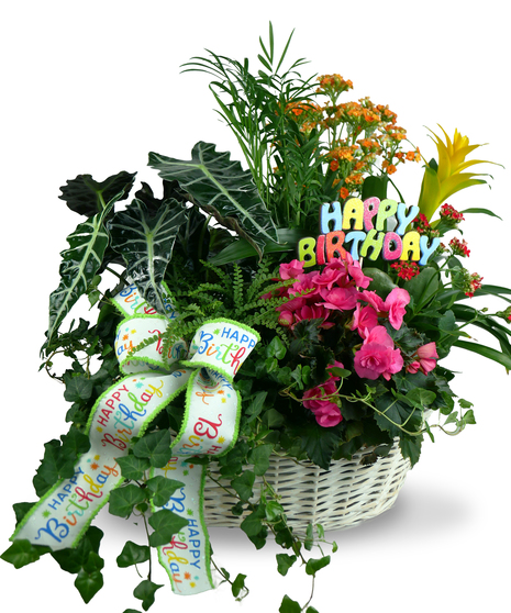 A white woven basket filled with blooming plants and green foliage, adorned with a 
