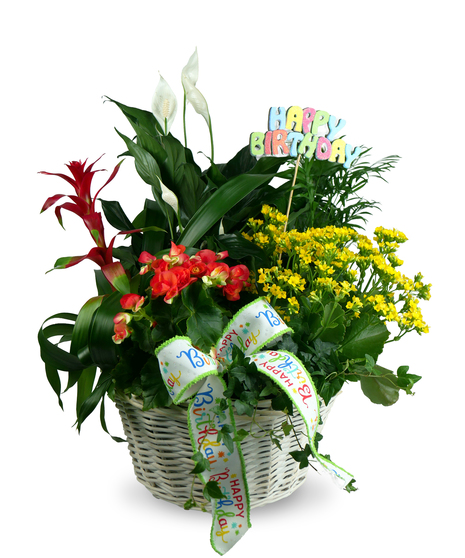 A white woven basket filled with blooming plants and green foliage, adorned with a 