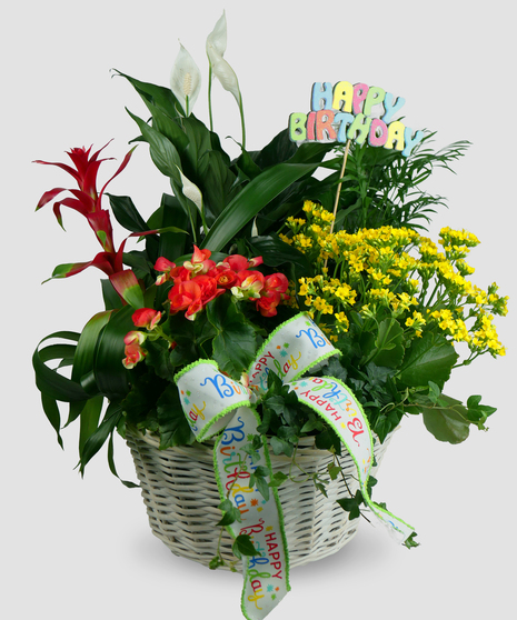 A white woven basket filled with blooming plants and green foliage, adorned with a 